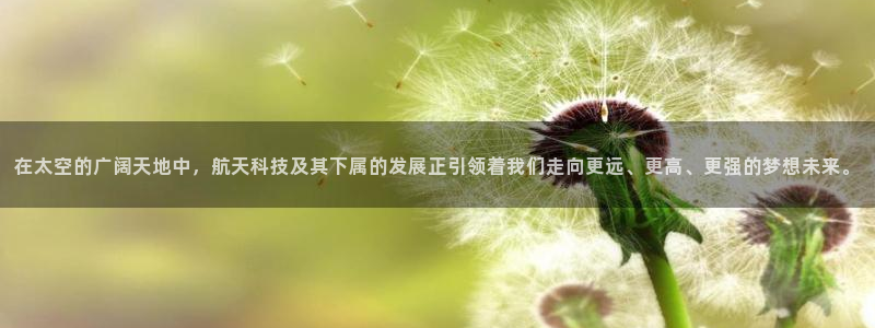 在太空的广阔天地中，航天科技及其下属的发展正引领着我们走向更远、更高、更强的梦想未来。