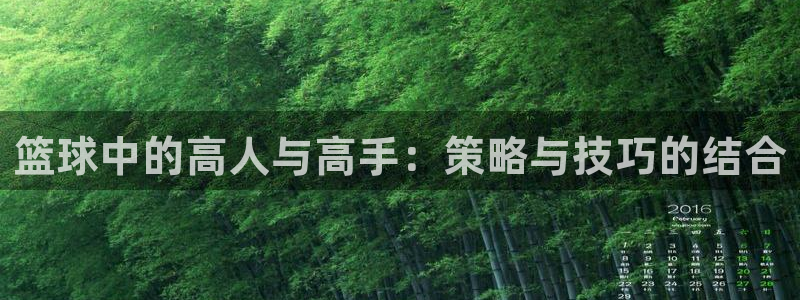 篮球中的高人与高手：策略与技巧的结合
