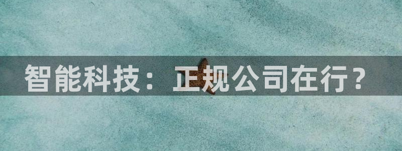 智能科技：正规公司在行？