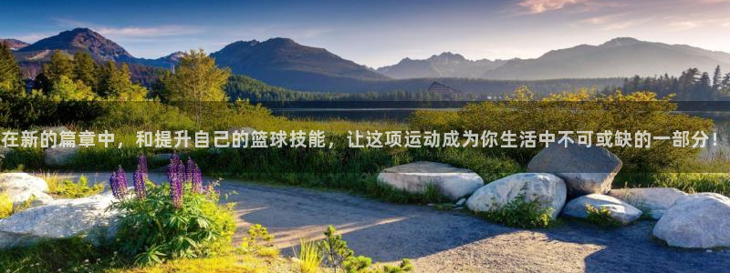 在新的篇章中，和提升自己的篮球技能，让这项运动成为你生活中不可或缺的一部分！