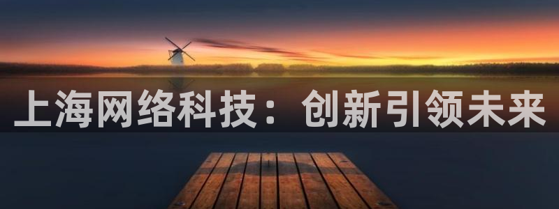 上海网络科技：创新引领未来