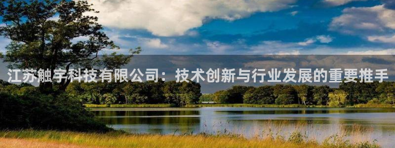 江苏触宇科技有限公司：技术创新与行业发展的重要推手