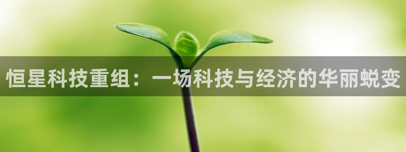 恒星科技重组：一场科技与经济的华丽蜕变