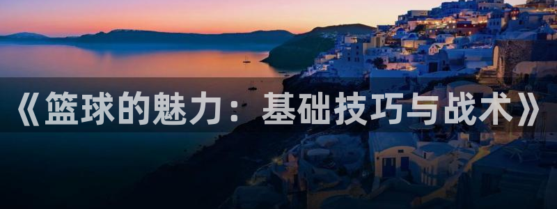 《篮球的魅力：基础技巧与战术》