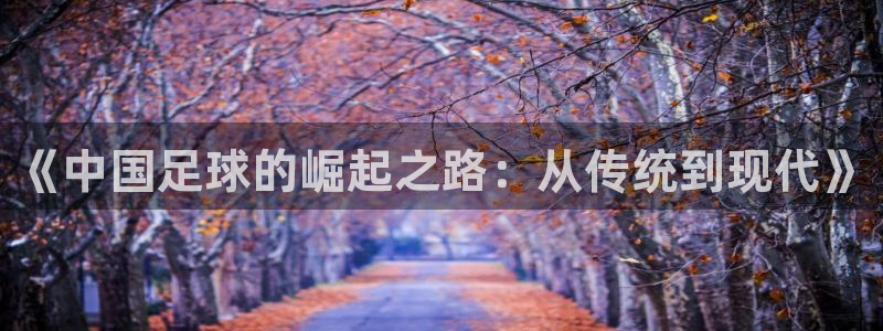 《中国足球的崛起之路：从传统到现代》