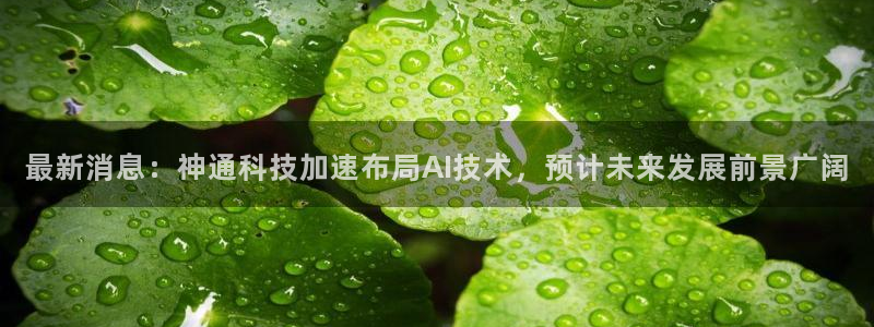 最新消息：神通科技加速布局AI技术，预计未来发展前景广阔