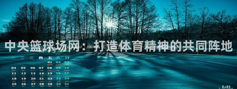 中央篮球场网：打造体育精神的共同阵地