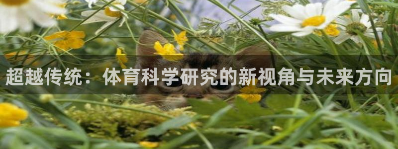 超越传统：体育科学研究的新视角与未来方向