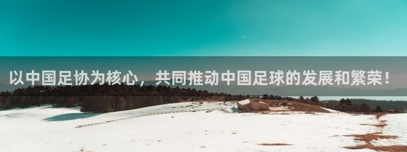 以中国足协为核心，共同推动中国足球的发展和繁荣！