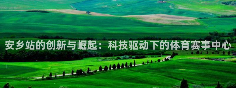 安乡站的创新与崛起：科技驱动下的体育赛事中心