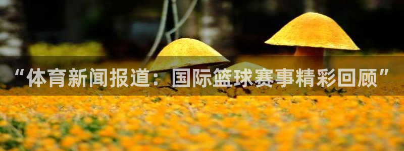 “体育新闻报道：国际篮球赛事精彩回顾”