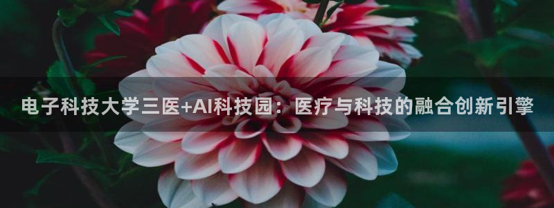 电子科技大学三医+AI科技园：医疗与科技的融合创新引擎