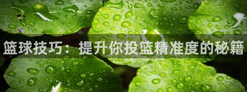 篮球技巧：提升你投篮精准度的秘籍