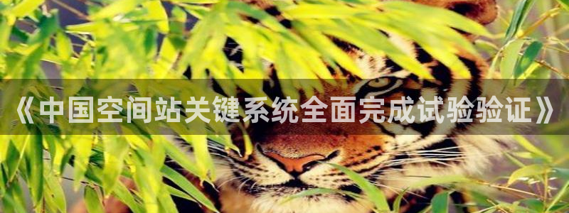 《中国空间站关键系统全面完成试验验证》
