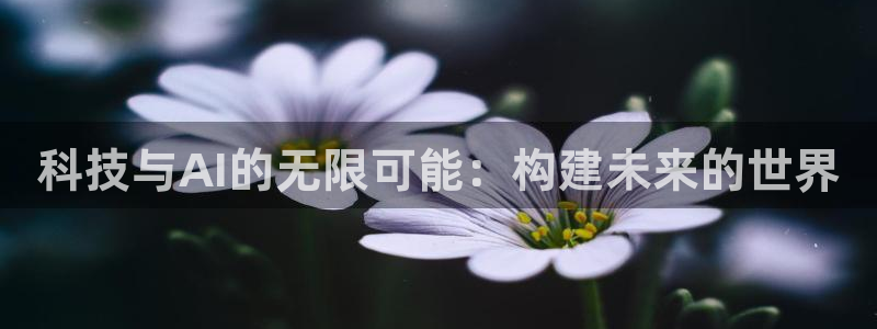 科技与AI的无限可能：构建未来的世界