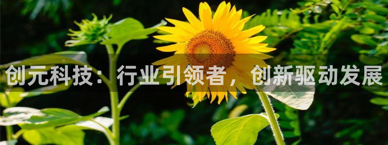 创元科技：行业引领者，创新驱动发展