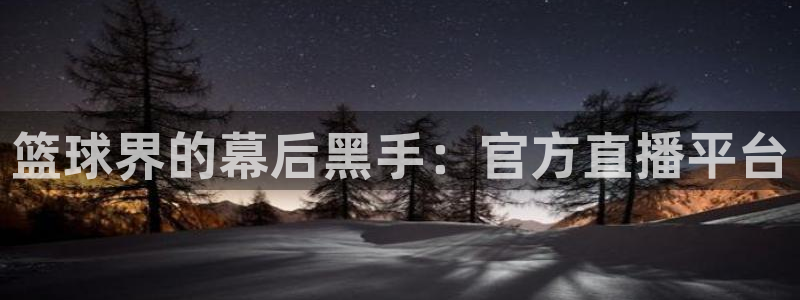 篮球界的幕后黑手：官方直播平台