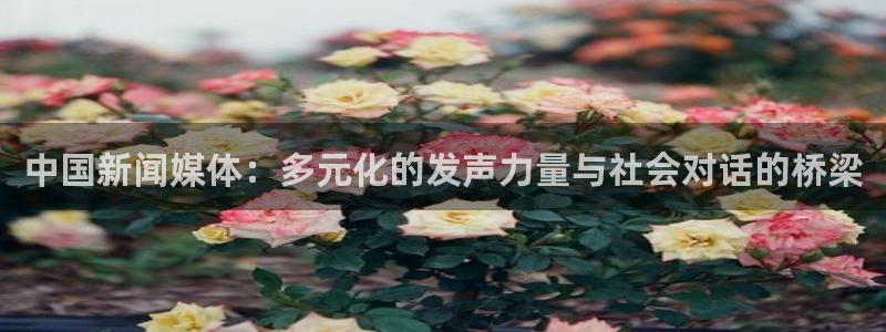 中国新闻媒体：多元化的发声力量与社会对话的桥梁