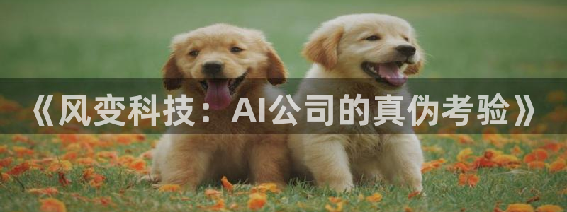 《风变科技：AI公司的真伪考验》