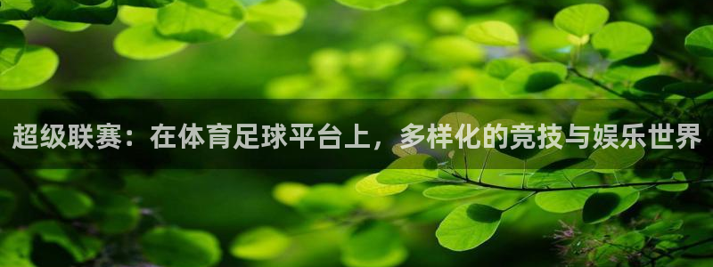 超级联赛：在体育足球平台上，多样化的竞技与娱乐世界