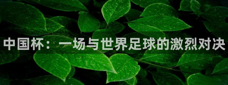 中国杯：一场与世界足球的激烈对决
