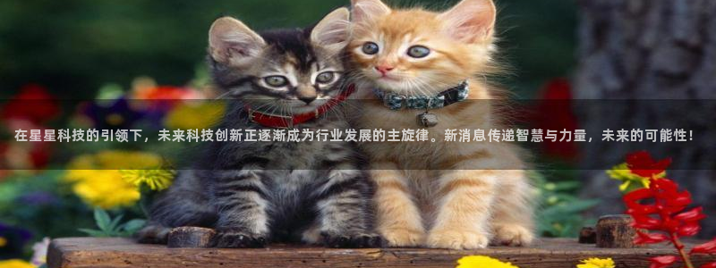 在星星科技的引领下，未来科技创新正逐渐成为行业发展的主旋律。新消息传递智慧与力量，未来的可能性！