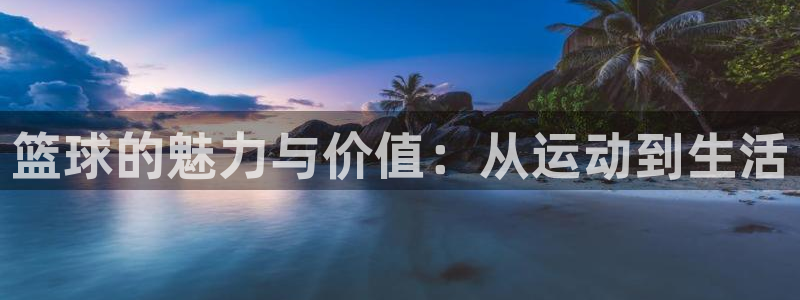 篮球的魅力与价值：从运动到生活