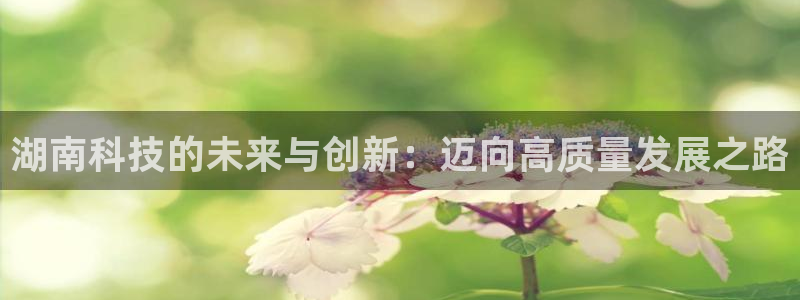 湖南科技的未来与创新：迈向高质量发展之路