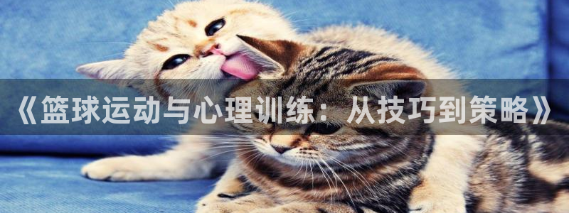 《篮球运动与心理训练：从技巧到策略》
